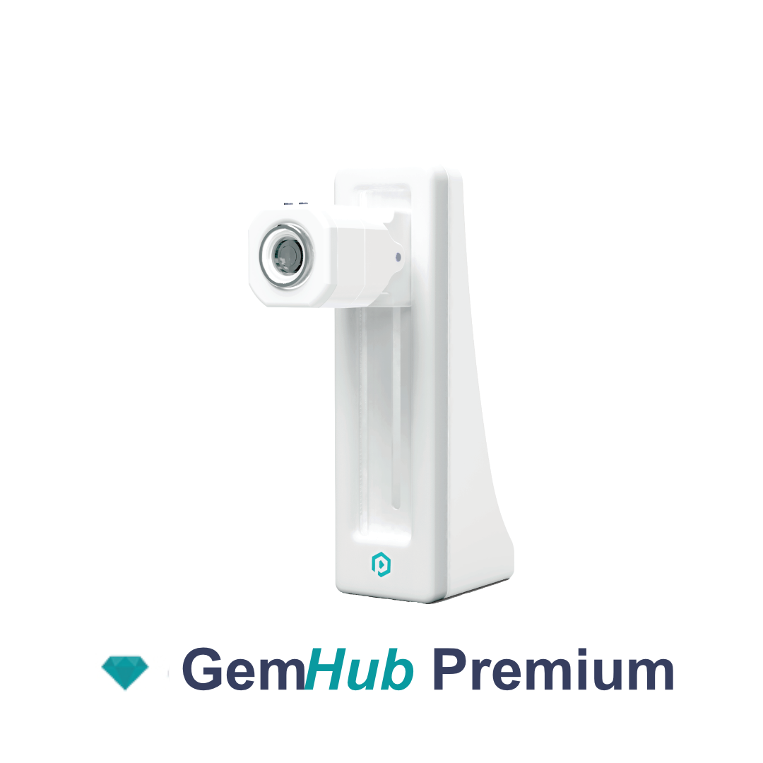 GemCam AI - 2500 €